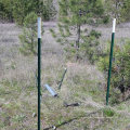 Rail Steel Farm Fence Metal T Posts for Deer Fence